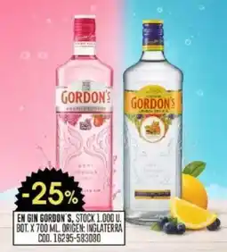 Coto Gordon's gin oferta