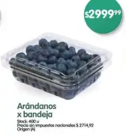 Supermercados Buenos Días Arándanos x bandeja oferta