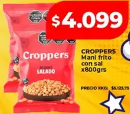 Supermayorista Vital Croppers mani frito con sal oferta