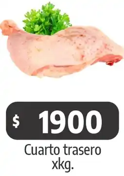 Autoservicio Capo Cuarto trasero oferta