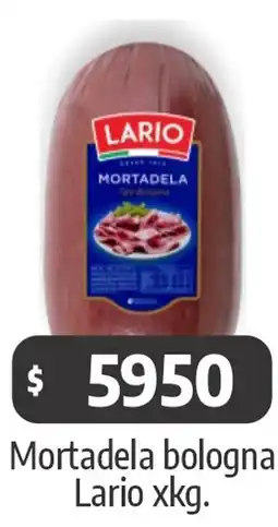 Autoservicio Capo Lario mortadela bologna oferta