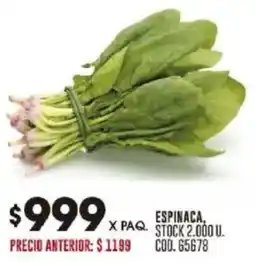 Coto Espinaca oferta