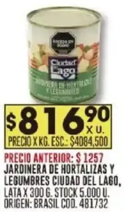 Coto Jardinera de hortalizás y legumbres ciudad del lago, lata oferta