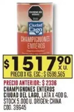 Coto Champignones enteros ciudad del lago, lata oferta