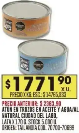 Coto Atun en trozos en aceite y agua/al natural ciudad del lago, lata oferta