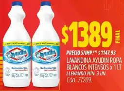 Supermercados Yaguar Ayudín lavandina ropa blancos intensos oferta