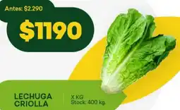 Super MAMI Lechuga criolla oferta