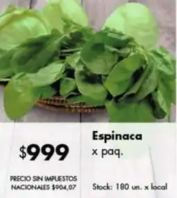 Disco Espinaca x paq. oferta