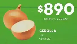 Diarco Cebolla oferta