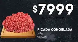 Diarco Picada congelada oferta