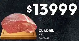 Diarco Cuadril oferta