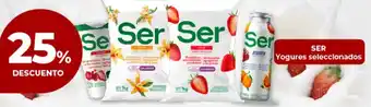 Supermayorista Vital Ser yogures seleccionados oferta