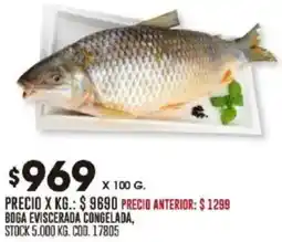 Coto Boga eviscerada congelada oferta
