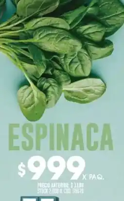 Coto Espinaca oferta