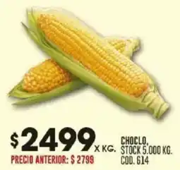 Coto Choclo oferta