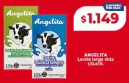 Supermayorista Vital Angelita leche larga vida t/b. oferta