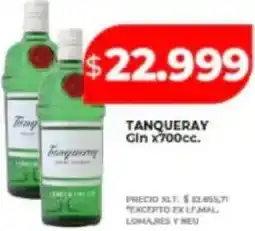 Supermayorista Vital Tanqueray gin oferta