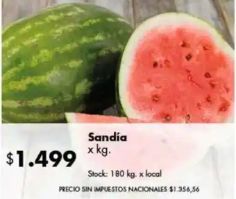 Disco Sandía oferta