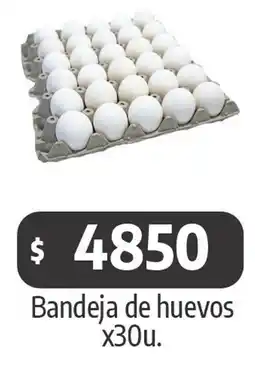 Autoservicio Capo Bandeja de huevos oferta