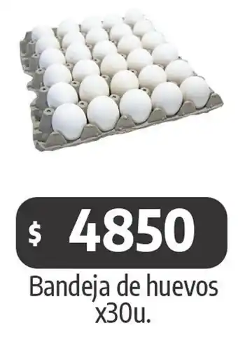 Autoservicio Capo Bandeja de huevos oferta