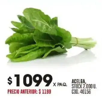 Coto Acelga oferta