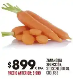 Coto Zanahoria selección oferta