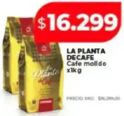 Supermayorista Vital La planta decafe cafe molldo oferta