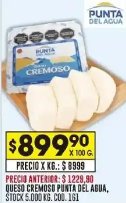 Coto Punta del agua queso cremoso oferta
