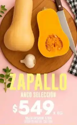 Coto Zapallo anco selección oferta