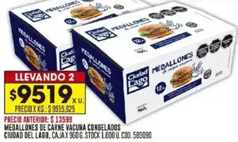 Medallones de carne vacuna congelados ciudad del lago, caja