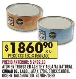 Coto Atún en trozos en aceite y agua/al natural ciudad del lago, lata oferta