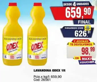 Maxiconsumo Odex lavandina oferta