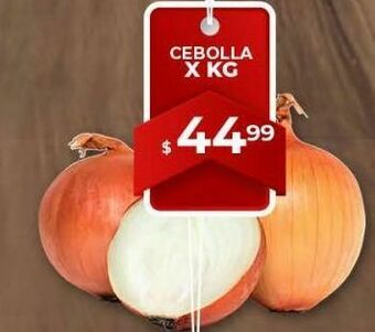 Makro Cebolla x kg oferta