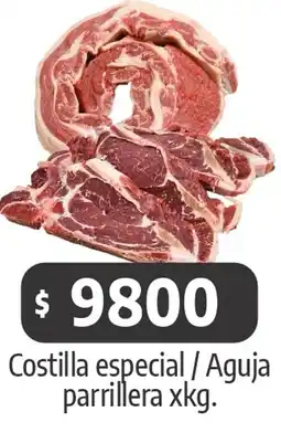 Autoservicio Capo Costilla especial / aguja parrillera oferta