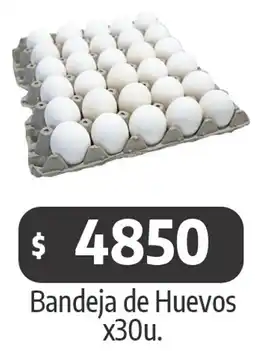 Autoservicio Capo Bandeja de Huevos oferta