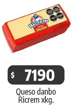 Autoservicio Capo Ricrem queso danbo oferta