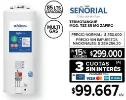 Carrefour Señorial termotanque oferta