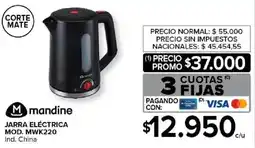Carrefour Mandine jarra eléctrica oferta