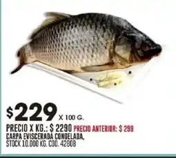 Coto Carpa eviscerada congelada oferta