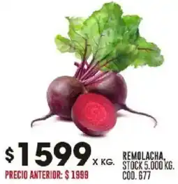 Coto Remolacha oferta