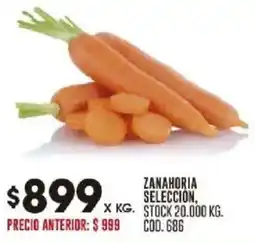 Coto Zanahoria selección oferta