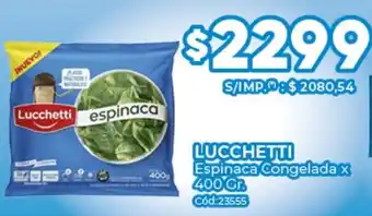 Lucchetti espinaca congelada