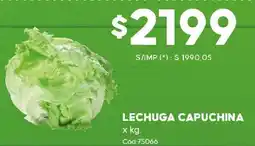 Diarco Lechuga capuchina oferta