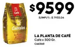Diarco La planta de café oferta