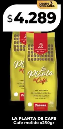 Supermayorista Vital La planta de cafe cafe molido oferta