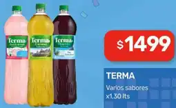 Nini Mayorista Terma varios sabores oferta