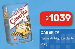 Nini Mayorista Caserita harina de trigo leudante oferta