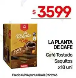 Nini Mayorista La planta de cafe café tostado saquitos oferta