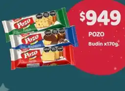 Nini Mayorista Pozo budin oferta
