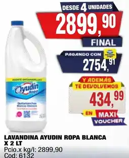 Maxiconsumo Ayudín lavandina ropa blanca oferta